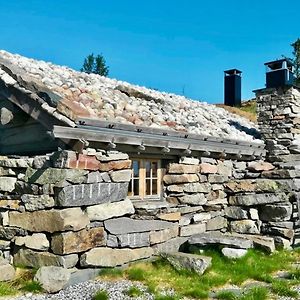 Rustic Mountain Cabin With Modern Interior Vila Flå Exterior photo