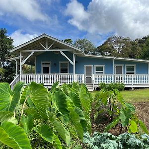 Newly Renovated Farmhouse In Kealakekua Vila Exterior photo