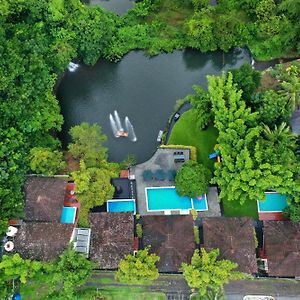 Athirapally Green Trees Hotel Athirappilly Exterior photo