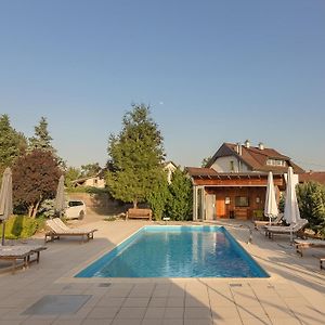 Pool Villa Izabela With Wellness - Happy Rentals Križevci pri Ljutomeru Exterior photo