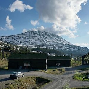 Laegenhet Med Utsikt Mot Gaustatoppen, Ski In Ski Out Apartamento Gaustablikk Exterior photo