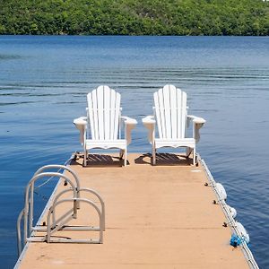 Incredible Water View With Canoe And Kayaks Vila Westport Exterior photo