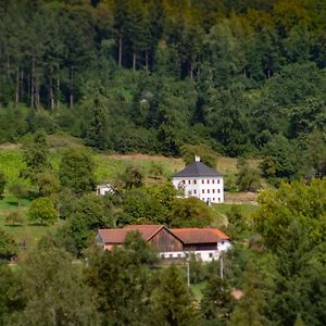 Trattnachtaler Weinhaus Vila Schlusslberg Exterior photo