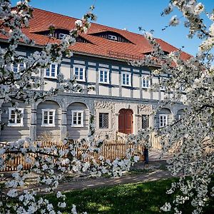 Zur Wilhelmine - Landgut 1779 Vila Cunewalde Exterior photo