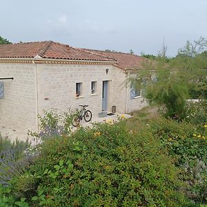 Villa De Vacances Quercy Perigord Saint Paul de Loubressac Exterior photo