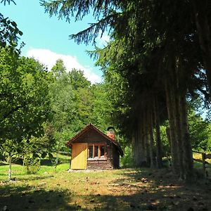 Planinska Kuca Palacinka Vila Despotovac Exterior photo