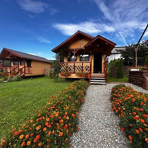 Baltina Parc Transfagarasan Vila Curtea de Argeş Exterior photo