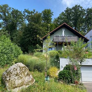 Jules&Jim Gaestehaus Apartamento Linz Exterior photo