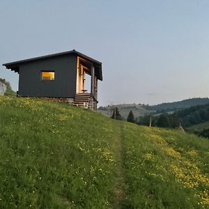 Котедж На Лузі Vila Verkhne-Studënyy Exterior photo