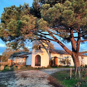 Le Castel De Lamothe Vila Sauternes Exterior photo