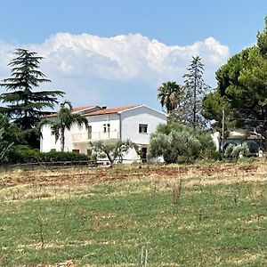 Masseria Novelli Acomodação com café da manhã Cassano allo Ionio Exterior photo