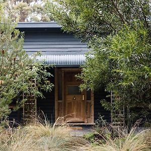 Lumi Cottage In Cygnet Art Food And Nature Haven Exterior photo