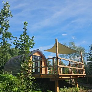 Tiny House De Piiptsjilling Hotel Westergeest Exterior photo