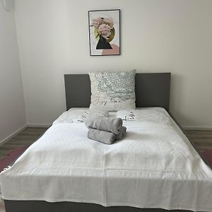 Zentrale Lage Netflix Queensize Bett Apartamento Bruchsal Exterior photo