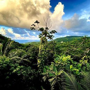 Magical San San Port Antonio Close To Blue Lagoon Frenchman'S Cove Vila Exterior photo