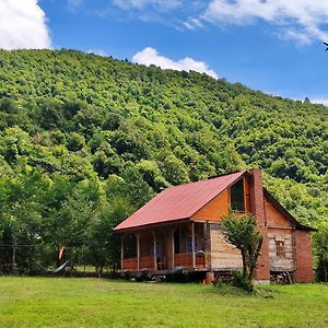 Forest Dream Ტყის Სიზმარი Vila Tsageri Exterior photo