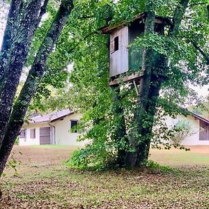 Le Refuge Des Bois Vila Villandraut Exterior photo