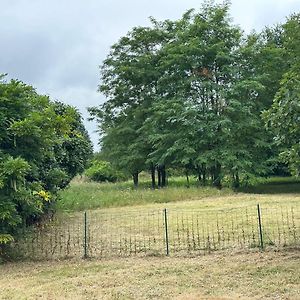 Domain De Montvert - 5 Min From Saint Emilion Vila Sainte-Terre Exterior photo