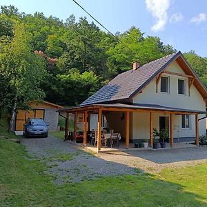 Kuca Za Odmor Kekec Fruska Gora Vila Beocin Exterior photo