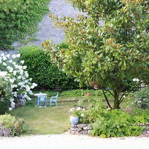 Gite Spacieux Au Coeur Du Val De Loire, Entre Orleans Et Blois, Avec Jardin, Cour Fermee Et Bbq ! - Fr-1-590-106 Vila Tavers Exterior photo