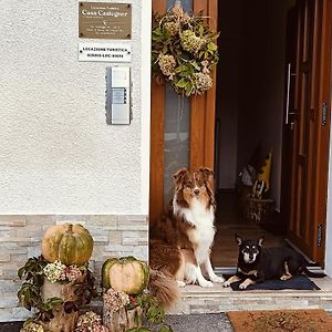 Casa Castegner - Rooms Seren del Grappa Exterior photo