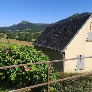 Gites Entre Salers Et Le Puy Mary Dans Le Cantal Saint-Paul-de-Salers Exterior photo