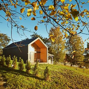 Scandinave Chalet Bran Vila Zărneşti Exterior photo