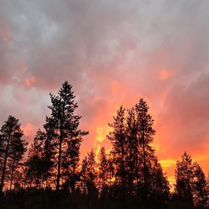 Northernlight Guesthouse Kuusamo Exterior photo