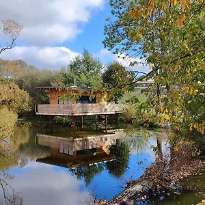 Tinyhousebeidresden 2 Im Teich - Naehe Saechsische Schweiz, Dresden, Mit Badeteich Vila Großharthau Exterior photo