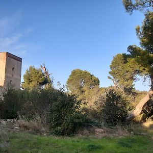 Sur Les Pas Des Templiers Apartamento Trouillas Exterior photo