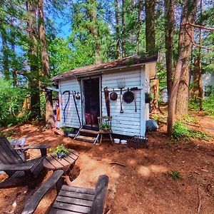 The Stabbin Cabin On Grant Island, Brantingham Lake - Hottub, Boat, Pet Friendly Vila Glenfield Exterior photo