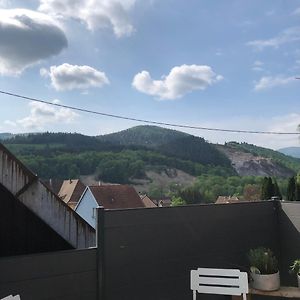 Le Duplex De L Ancienne Forge Vila Muhlbach-sur-Munster Exterior photo