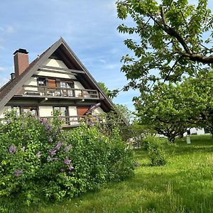 Gaestehaus Obsthof Gottenheim Hotel Exterior photo