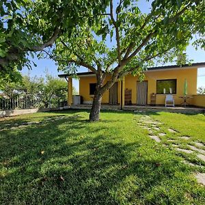 La Casa In Campagna Acomodação com café da manhã Ferrazzano Exterior photo