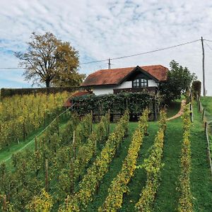 Hiska Brajda Vila Rogaška Slatina Exterior photo