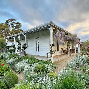 Little Oak - Place To Relax And Create Memories Vila Cygnet Exterior photo