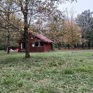 Chalet en forêt, brame du cerf Vila Valpuiseaux Exterior photo