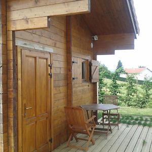 Chalet Porte Pilat Vila Farnay Exterior photo