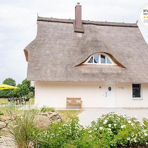 Seegras - Ferienhaus Mit Kamin Und Sauna Fuer 8 Personen Vila Pepelow Exterior photo