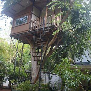 The Tree House Vip Cottage Anuradhapura Exterior photo