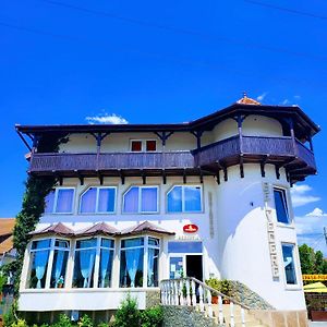 Vila Belvedere Hotel Haţeg Exterior photo