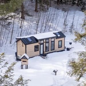 Thistle House At Camp Greenwood Vermont With Sauna Vila Chester Exterior photo