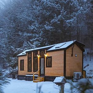 Sage House At Camp Greenwood Vermont With Sauna Vila Chester Exterior photo