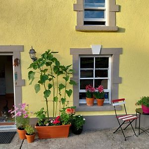 Felicity Cottage Kiltegan Exterior photo