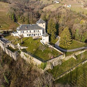 Chateau D'Apremont Acomodação com café da manhã Apremont  Exterior photo