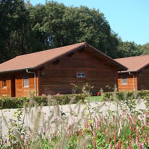 Chalet De Voetpomp Vila Boekel Exterior photo