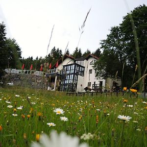 Gastinger Hotel-Restaurant Schmiedefeld am Rennsteig Exterior photo