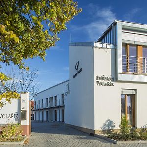 Penzion Volařík Hotel Dolní Dunajovice Exterior photo