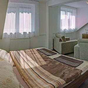 Penzion Na Dlouhe Hotel Uherské Hradiště Room photo