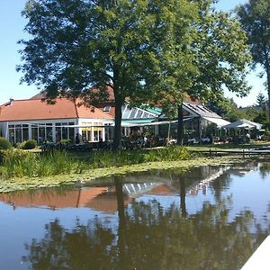 Hotel Gruener Baum Genthin Exterior photo